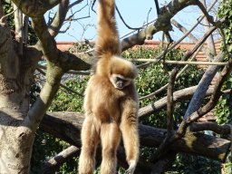 Tiergarten Schönbrunn am 05.03.2026